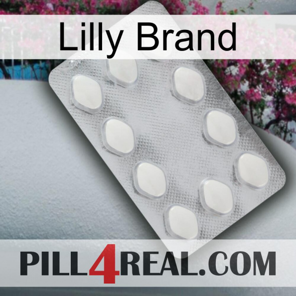 Lilly Brand 16.jpg